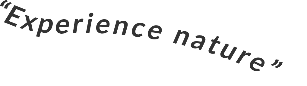 Experience nature