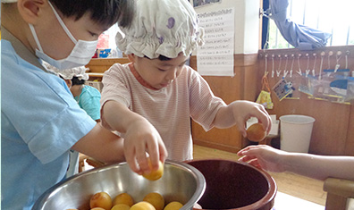 食育活動